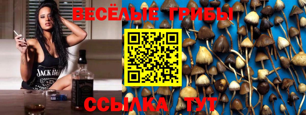 где найти   Галлюциногенные грибы Cubensis  Вход с VPN  Истра 