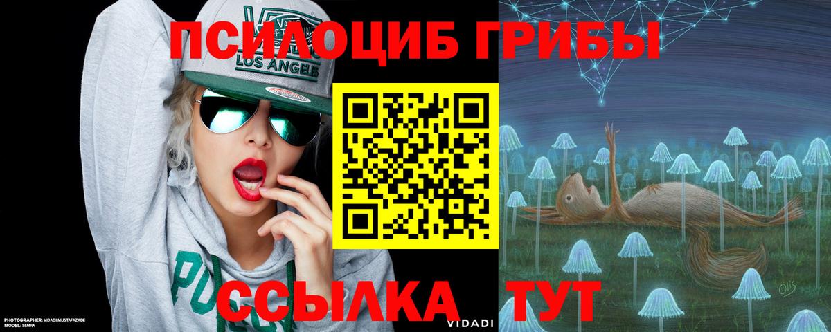 Галлюциногенные грибы Magic Shrooms Истра